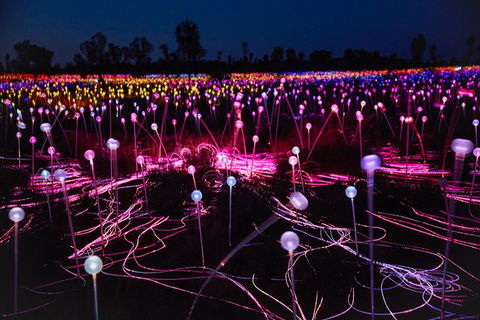 Uluru Field Of Light Sunrise Tour - Accommodation in Bendigo 1
