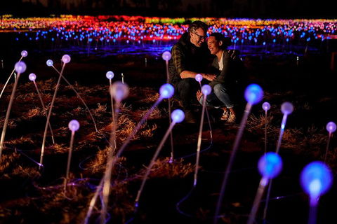 Uluru Field Of Light Sunrise Tour - Accommodation in Bendigo 6