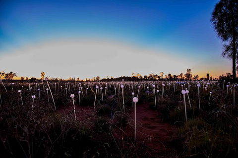Uluru Field Of Light Sunrise Tour - Accommodation in Bendigo 8