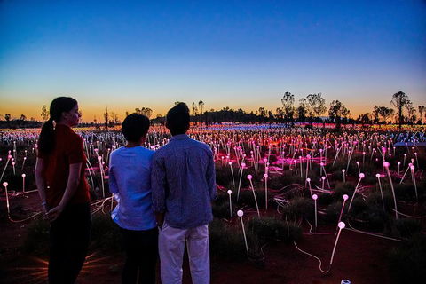Uluru Field Of Light Sunrise Tour - Accommodation in Bendigo 5