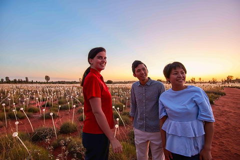 Uluru Field Of Light Sunrise Tour - Accommodation in Bendigo 11