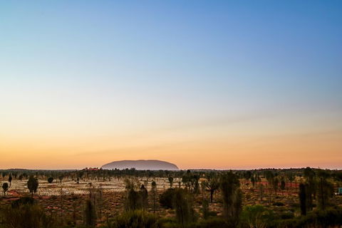 Uluru Field Of Light Sunrise Tour - Accommodation in Bendigo 12