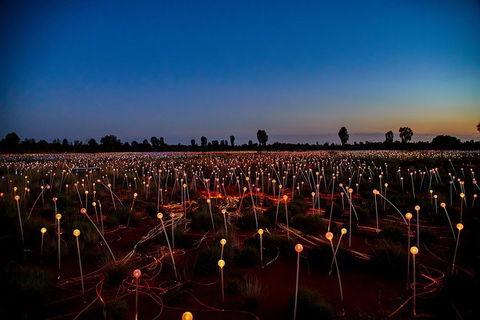 Uluru Field Of Light Sunrise Tour - Accommodation in Bendigo 7
