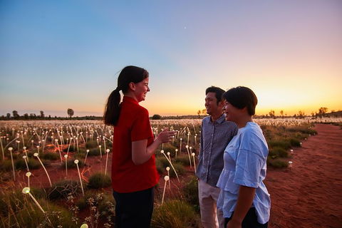 Uluru Field Of Light Sunrise Tour - Accommodation in Bendigo 9