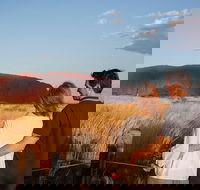 Uluru Ayers Rock Sunset with Outback Barbecue Dinner and Star Tour - Accommodation in Bendigo