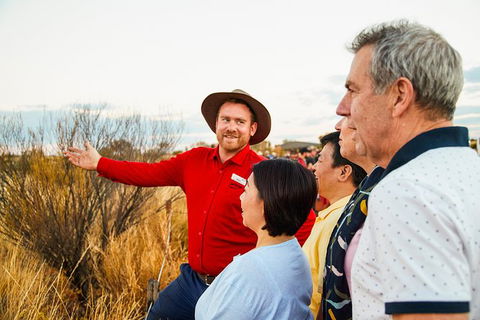 Uluru (Ayers Rock) Sunset With Outback Barbecue Dinner And Star Tour - Accommodation in Bendigo 22