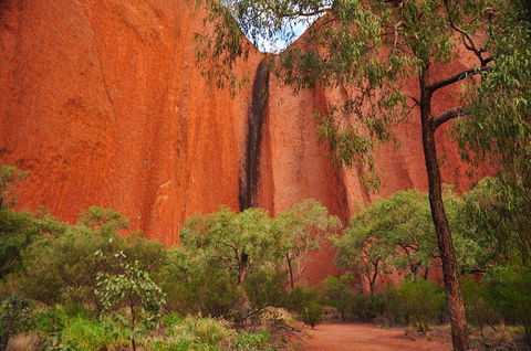 Uluru Sunrise And Guided Base Walk - Accommodation in Bendigo 14