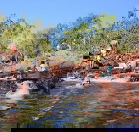 Litchfield and Jumping Crocodiles Full Day Trip from Darwin - Accommodation in Bendigo
