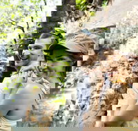 Small-Group Litchfield National Park Day Trip from Darwin - Accommodation in Bendigo