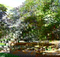 Darwin Afternoon Sightseeing Tour - Accommodation in Bendigo