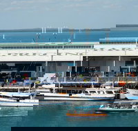 Darwin Harbour Bombing of Darwin Cruise - Accommodation in Bendigo