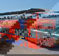 Darwin Hop-on Hop-off Bus Tour - Accommodation in Bendigo