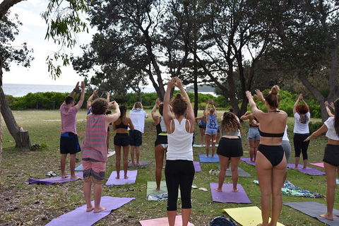 7-Day Byron Bay, Evans Head And Moonee Beach Surf Safari From Brisbane, Gold Coast Or Byron Bay - Accommodation in Bendigo 3