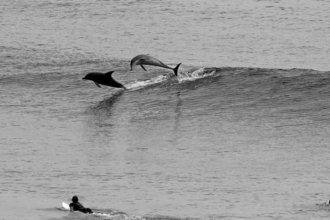 7-Day Byron Bay, Evans Head And Moonee Beach Surf Safari From Brisbane, Gold Coast Or Byron Bay - Accommodation in Bendigo 6
