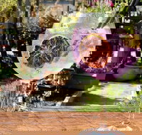 Northern Rivers Distillery Tour from Byron Bay Kingscliff or the Gold Coast - Accommodation in Bendigo