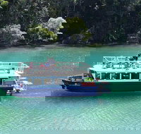 Brunswick Heads Rainforest Eco-Cruise - Accommodation in Bendigo