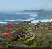 Bibbulmun Track - Accommodation in Bendigo