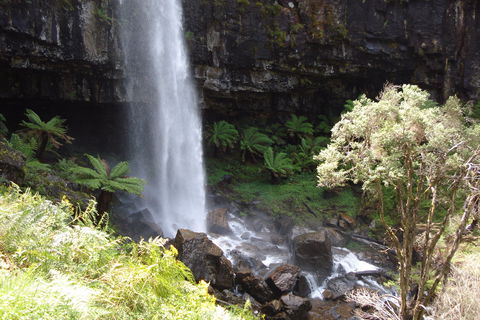 Bindaree Falls - Accommodation in Bendigo 1
