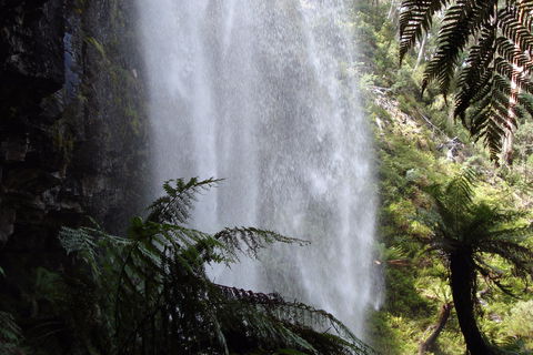 Bindaree Falls - Accommodation in Bendigo 2