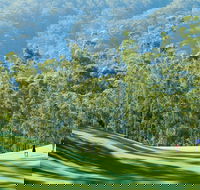 Bonville Golf Resort - Accommodation in Bendigo