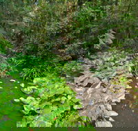 Brindle Creek Walking Track - Accommodation in Bendigo