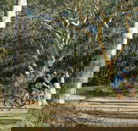 Bundanoon cycling route - Accommodation in Bendigo