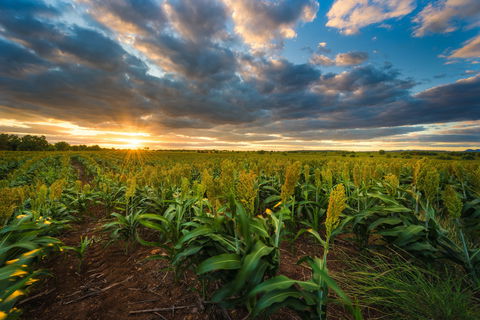 Capella - Accommodation in Bendigo 0