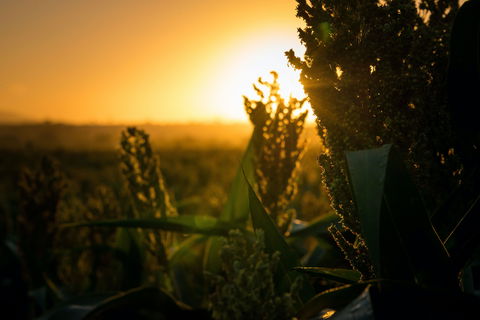 Capella - Accommodation in Bendigo 2