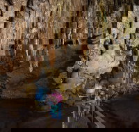 Cutta Cutta Caves Nature Park - Accommodation in Bendigo