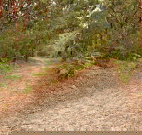 Daleys Point Walking Track - Accommodation in Bendigo