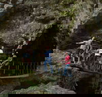 Dig the Tropic - Accommodation in Bendigo