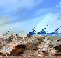 Dirk Hartog Island National Park - Accommodation in Bendigo