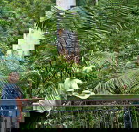 Grandis Picnic Area - Accommodation in Bendigo