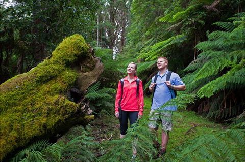 Grand Strzelecki Track - Accommodation in Bendigo 0