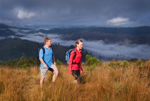 Grand Strzelecki Track - Accommodation in Bendigo 1