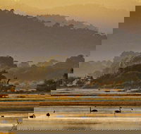 Greens Beach - Accommodation in Bendigo