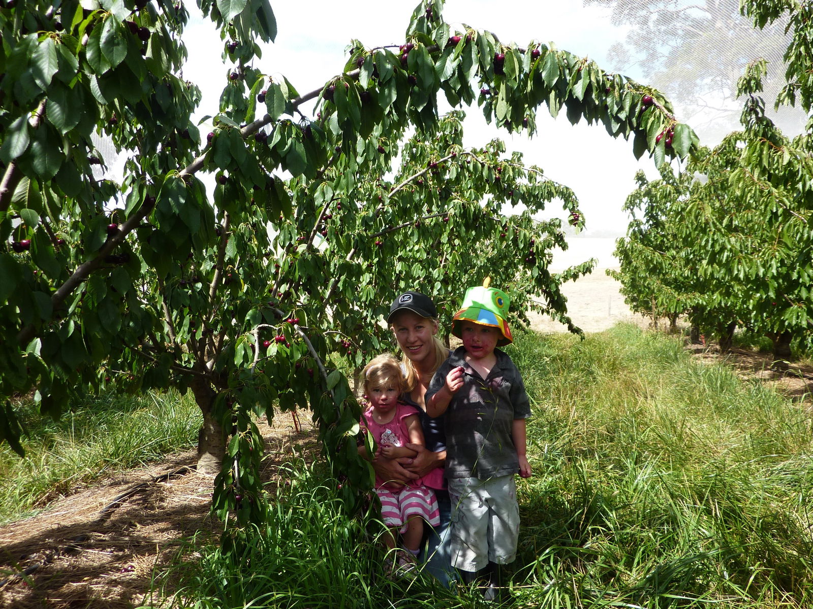 Adelaide Hills SA Accommodation in Bendigo