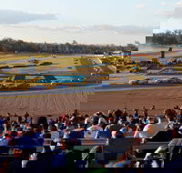 Ipswich Motorsport Precinct - Accommodation in Bendigo