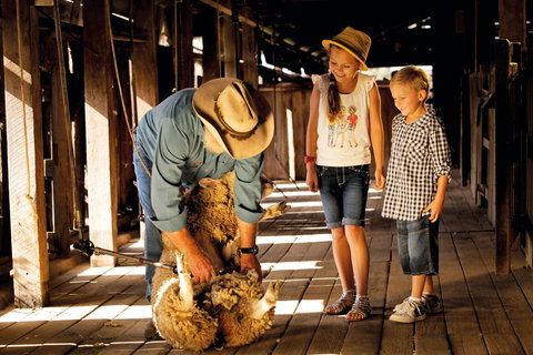 Jondaryan - Accommodation in Bendigo 1