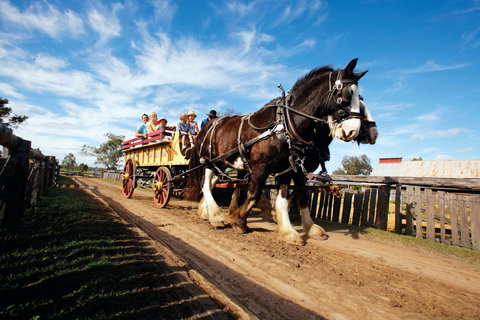 Jondaryan - Accommodation in Bendigo 2
