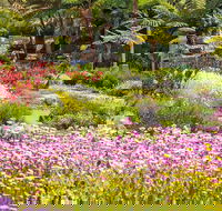 Jurassic Garden AR Experience - Accommodation in Bendigo