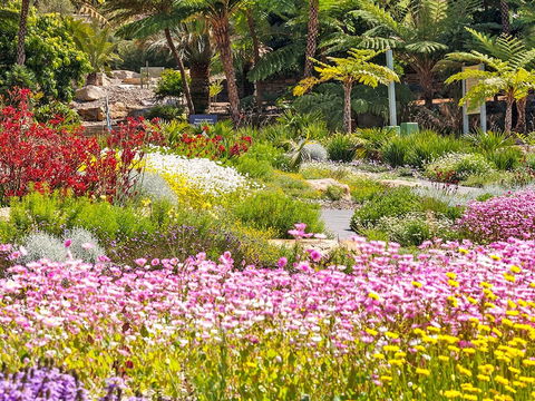 Jurassic Garden AR Experience - Accommodation in Bendigo 0