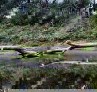 Kayaking Upper Tuross River and Bumbo Lake - Accommodation in Bendigo