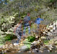 Kitty's Gorge Serpentine National Park - Accommodation in Bendigo
