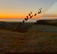 Lessismore Farm Afternoon Farmer - Accommodation in Bendigo