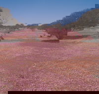 Meekatharra - Accommodation in Bendigo