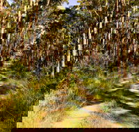 Mining Road Fire Trail Old Gibber Road Rire Trail - Accommodation in Bendigo