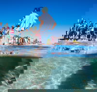 Monkey Mia - Accommodation in Bendigo