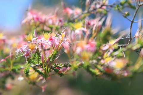 Moonie - Accommodation in Bendigo 2