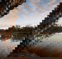 Murray-Kulkyne Regional Park - Accommodation in Bendigo